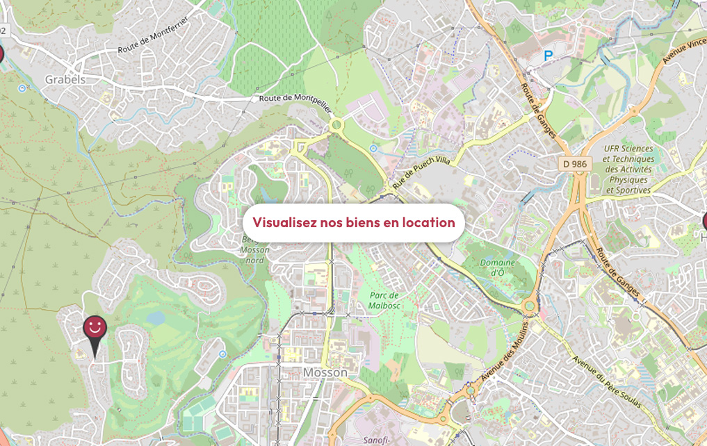 Carte des biens en location